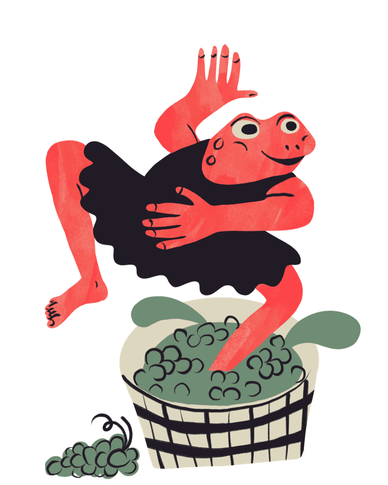 Frog illustration